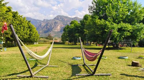 tre amache in un campo con montagne sullo sfondo di Ekko Hostel a Tepoztlán
