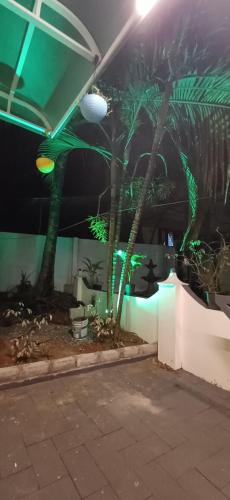a room with a palm tree and green lights at Airport villa in Chewarra