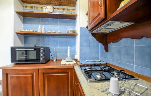 a kitchen with a stove and a microwave at Amazing Home In Giungano With Wifi in Giungano