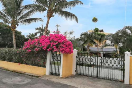 Charming studio in Flic en Flac with enclosed garden, 25m²にある庭
