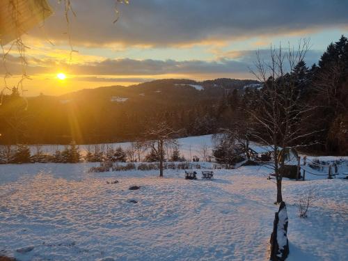 Природа в окрестностях апартаментов/квартиры