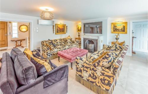 un salon avec des canapés et une cheminée dans l'établissement Gorgeous Home In Grimaud With Wifi, à Grimaud