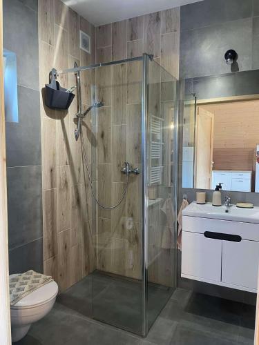 a bathroom with a shower and a toilet and a sink at SŁONECZNE TARASY in Gąski