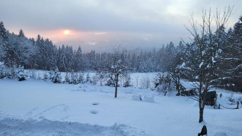 Ferienwohnung Waldidyll зимой