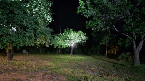 Zahrada ubytování Sasa Green Lodge