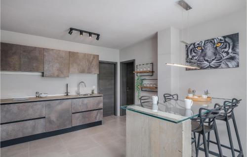 a kitchen with a counter with a painting of a tiger at 3 Bedroom Gorgeous Home In Klimno in Klimno