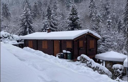a cabin in the snow with snow covered trees at Drevenice Oščadnica in Oščadnica