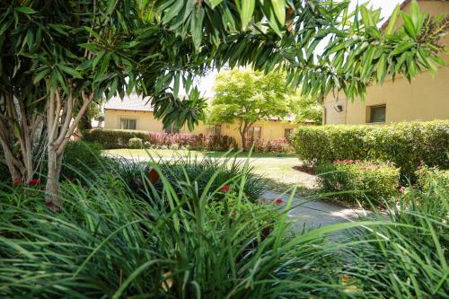 a garden with plants and trees and a building at Jacob Ohalo Kinneret in Kinneret