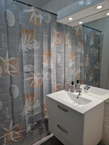 une salle de bain avec un lavabo et un rideau de douche dans l'établissement Le Stamatine Savoie Albertville Wifi Parking, à Albertville