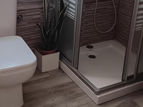 a bathroom with a shower with a toilet and a plant at Casa Juanlu in Málaga