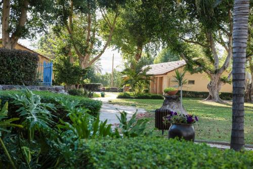 a yard with a house with trees and plants at Jacob Ohalo Kinneret in Kinneret