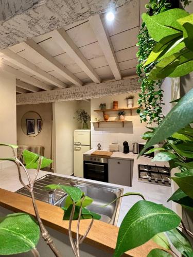 une cuisine avec un évier et un comptoir avec des plantes dans l'établissement Résidence Auguste - Centre historique Arles, à Arles