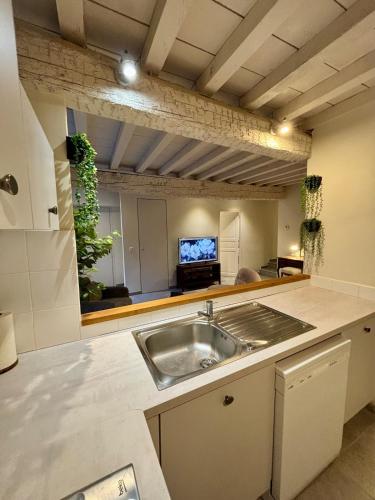 - une cuisine avec évier et une télévision dans la chambre dans l'établissement Résidence Auguste - Centre historique Arles, à Arles