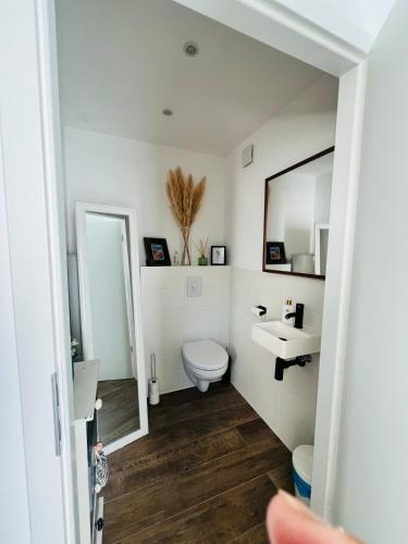 une salle de bain avec toilettes, lavabo et miroir dans l'établissement Petite maison indépendante proche Strasbourg, à Brumath