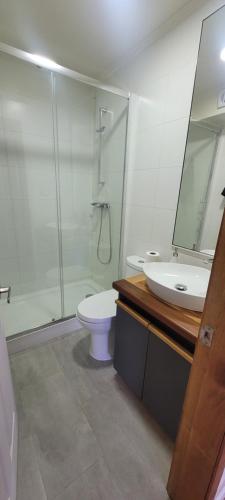 a bathroom with a shower and a toilet and a sink at Suites Oriente in Osorno
