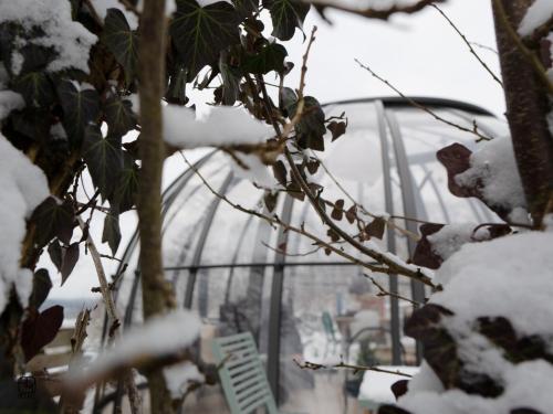 a greenhouse covered in snow in front of a tree at La St Hubsphair in Saint-Hubert