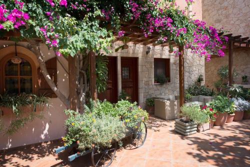 a courtyard with flowers and a tree in front of a building at Cactus Beach Hotel in Stalida