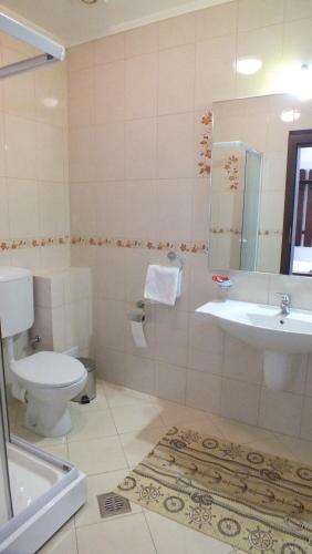 a bathroom with a toilet and a sink at Hanul Cocosul in Vităneşti