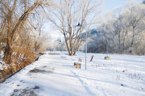 a snow covered road with a light pole and trees at ŠTVRTÁ VODA - Jánska chata in Liptovský Ján