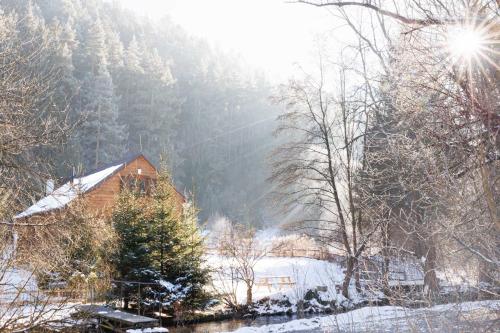 a house in the snow next to a forest at ŠTVRTÁ VODA - Jánska chata in Liptovský Ján