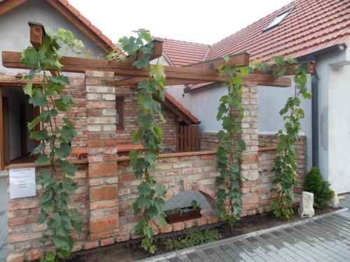Fotografie z fotogalerie ubytování Apartment U Pavelků v destinaci Mutěnice