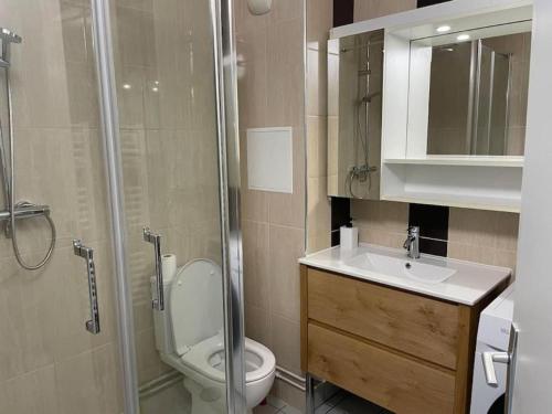 a bathroom with a toilet and a sink and a shower at Appartement Cosy Proche de Paris-Wi-FI in Le Bourget