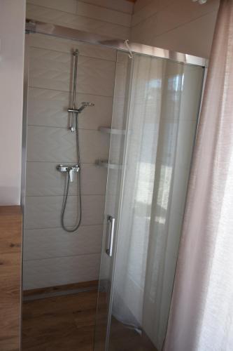 a shower stall with a shower curtain in a bathroom at Villa Piękosiówka Pod Tatrami in Ząb