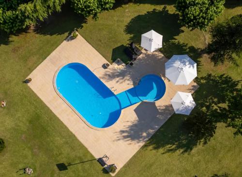 an overhead view of a blue sculpture in a park at Casa da Cruz Alta in Seia