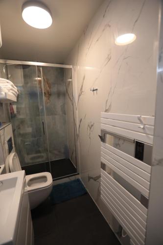 une salle de bain avec une douche, des toilettes et un lavabo dans l'établissement Appartement élégant - Montmartre, à Paris
