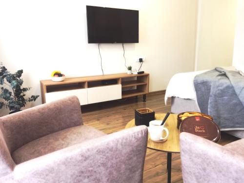 Dani Lux Belgrade Center Studio Apartment的电视和/或娱乐中心