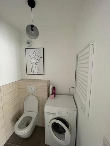 a small bathroom with a toilet and a washing machine at Le petit écrin de Divonne in Divonne-les-Bains
