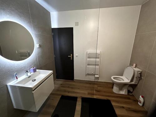 une salle de bain avec un lavabo, des toilettes et un miroir dans l'établissement Modern app #2 renovated ground floor 4pers, à Cherbourg en Cotentin