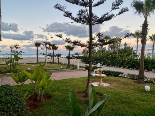 a park with a pine tree on the beach at Appartement Vue Panoramique sur la siesta plage WELCOME STAY in Mohammedia
