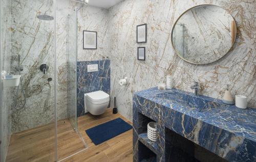 a bathroom with a shower and a toilet and a mirror at Lovely Home In Funtana With Sauna in Funtana