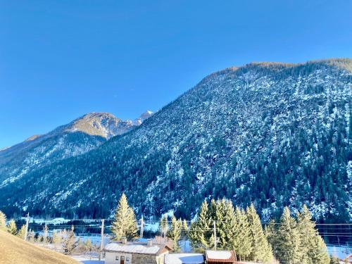 a mountain covered in trees with a house in front of it at Villa Maria Tirol in Anras