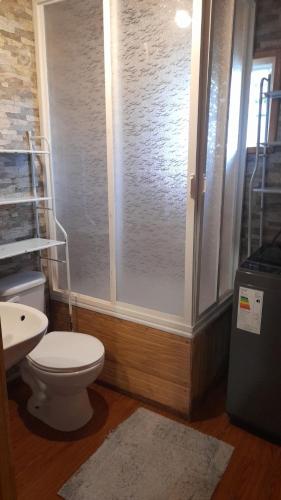 LencaにあるCabañas Refugio de Ceciliaのシャワー、トイレ、洗面台付きのバスルーム