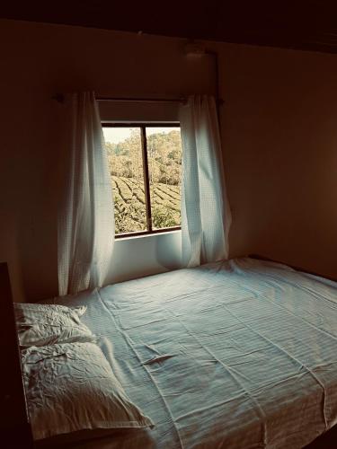KudayattūrにあるSilent houseの窓のある部屋のベッド