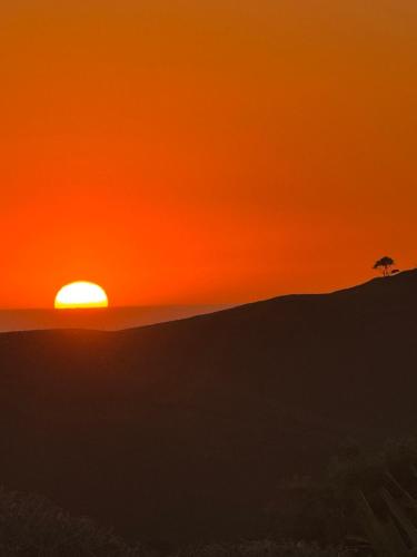 a sunset with a tree on top of a hill at Raglan Travellers Rest Coastal Retreat in Raglan