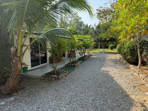 a house with a palm tree and a gravel driveway at Mem Homestay in Ban Khlong Wang Chang