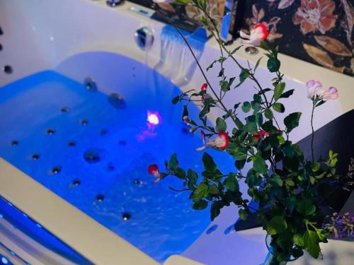 un vase avec des fleurs devant un toboggan dans l'établissement Studio cosy avec baignoire balnéo près de Vichy - FR-1-489-520, à Montaigu-le-Blin