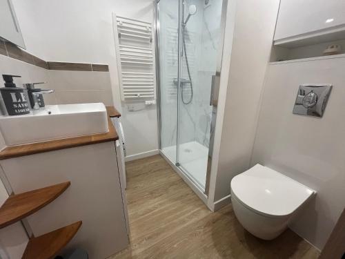 une salle de bain avec une douche, des toilettes et un lavabo dans l'établissement Collioure T2 élégant avec terrasse et parking - FR-1-309-492, à Collioure