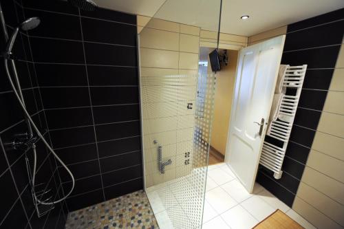 a bathroom with a shower with a glass door at Les Arcades in Limoux