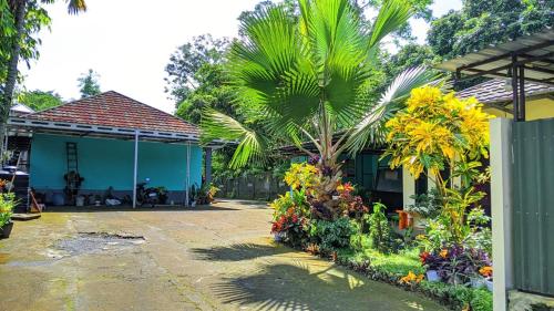 a house with a palm tree in front of it at Wisma KLG 1 in Kaliurang