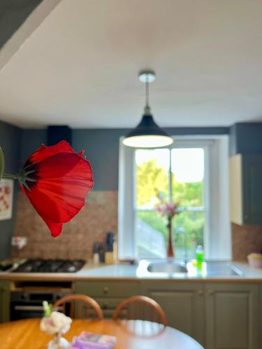a red umbrella sitting on top of a table in a kitchen at Traditional home perfect escape in the cotswolds in Chipping Norton