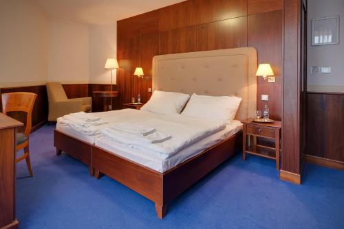 Una cama o camas en una habitación de Hotel Torysa