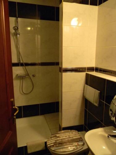 a bathroom with a shower and a toilet and a sink at Hotel Krona Domžale in Domžale