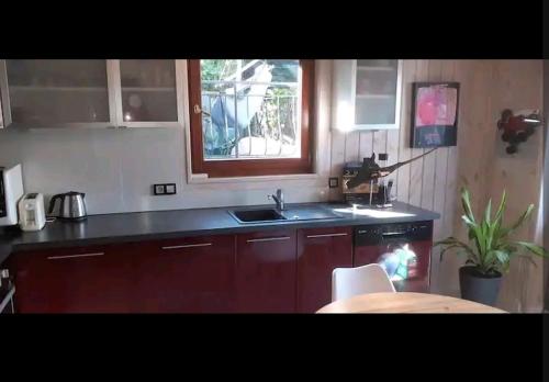 une cuisine avec un évier et une fenêtre dans l'établissement Joli chalet au calme Côte d'Azur, à Valbonne