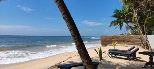 a beach with a chair and a palm tree at Haus am Meer "Wilde Ananas" in Koggala