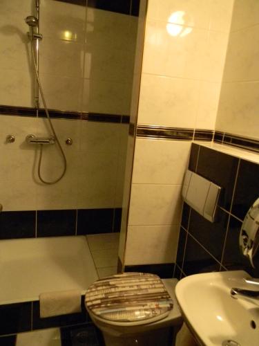a bathroom with a shower and a toilet and a sink at Hotel Krona Domžale in Domžale