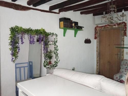 La Casa de Alicia
